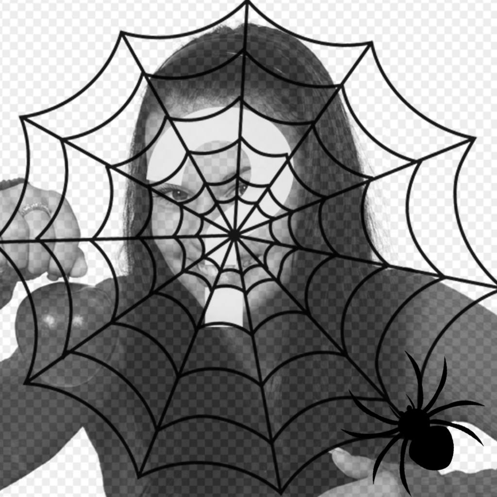 Put a spiders web and a spider in your photo, terror effect ..