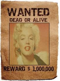 Wanted Poster. Your photo in a legendary lineup of in search and capture, dead or alive, reward, one million. Save or send the photomontage as a souvenir or curiosity.