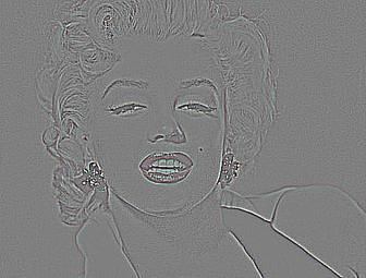 Edit your photo with this edge detection filter.