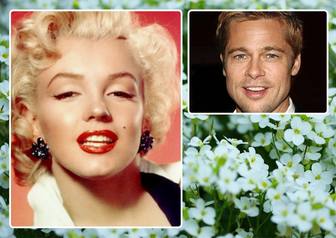 collage of two photos with white flowers