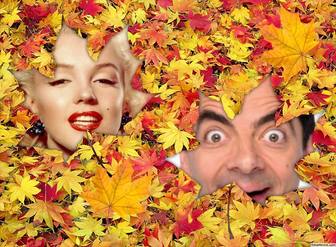 hide under the fallen leaves with this effect for two photos