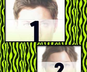 create collage with green and yellow zebra patterned and two photos online