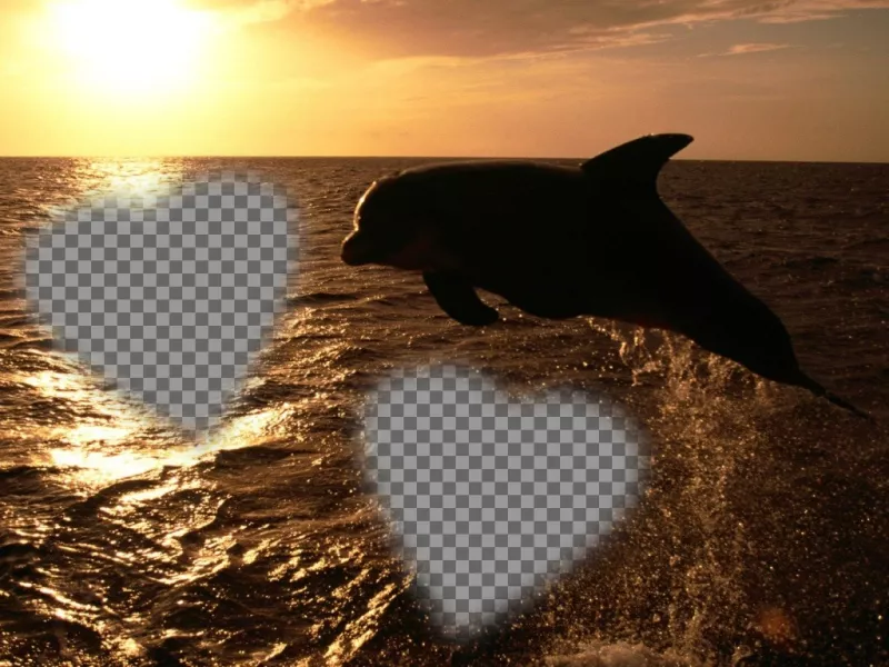 Customizable card for two photos in the form of hearts and a dolphin. ..