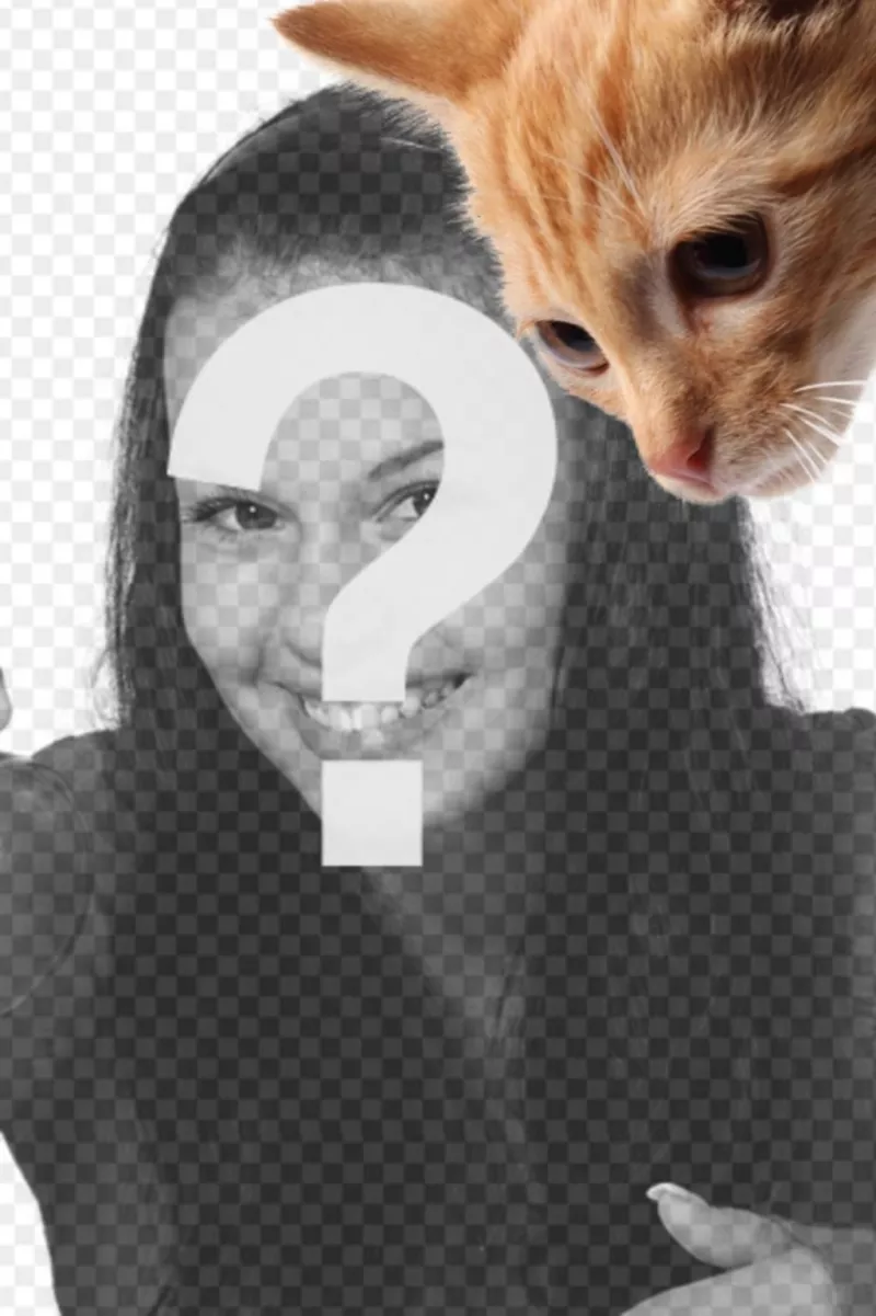 Add a kitten to your photos and also also to customize them easily