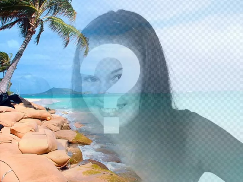 Collage with a heavenly beach with blue water and palm trees to put your photo and customize with..