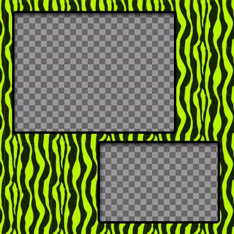create-a-collage-with-green-and-yellow-zebra-patterned-and-two-photos