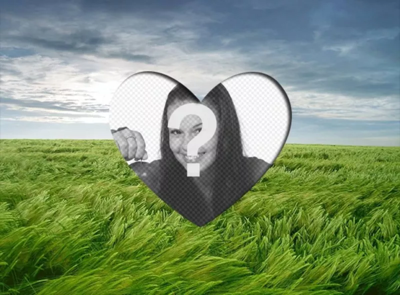 Love photoframe to put a romantic picture heart shaped on a landscape with green wheat field and blue..