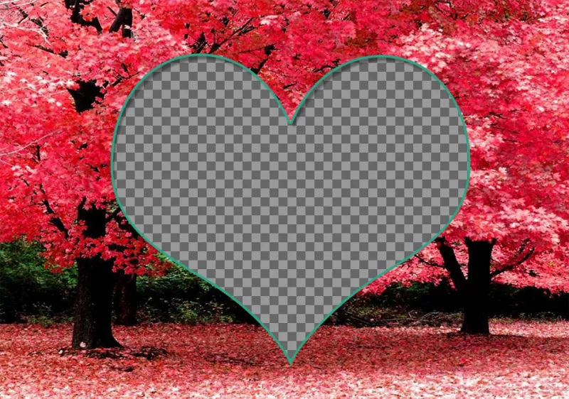 Frame for two photos inside a heart on cherry blossoms. ..