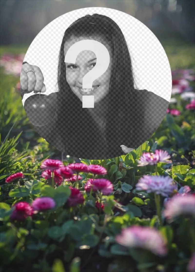 Rounded frames for photos Photofunny