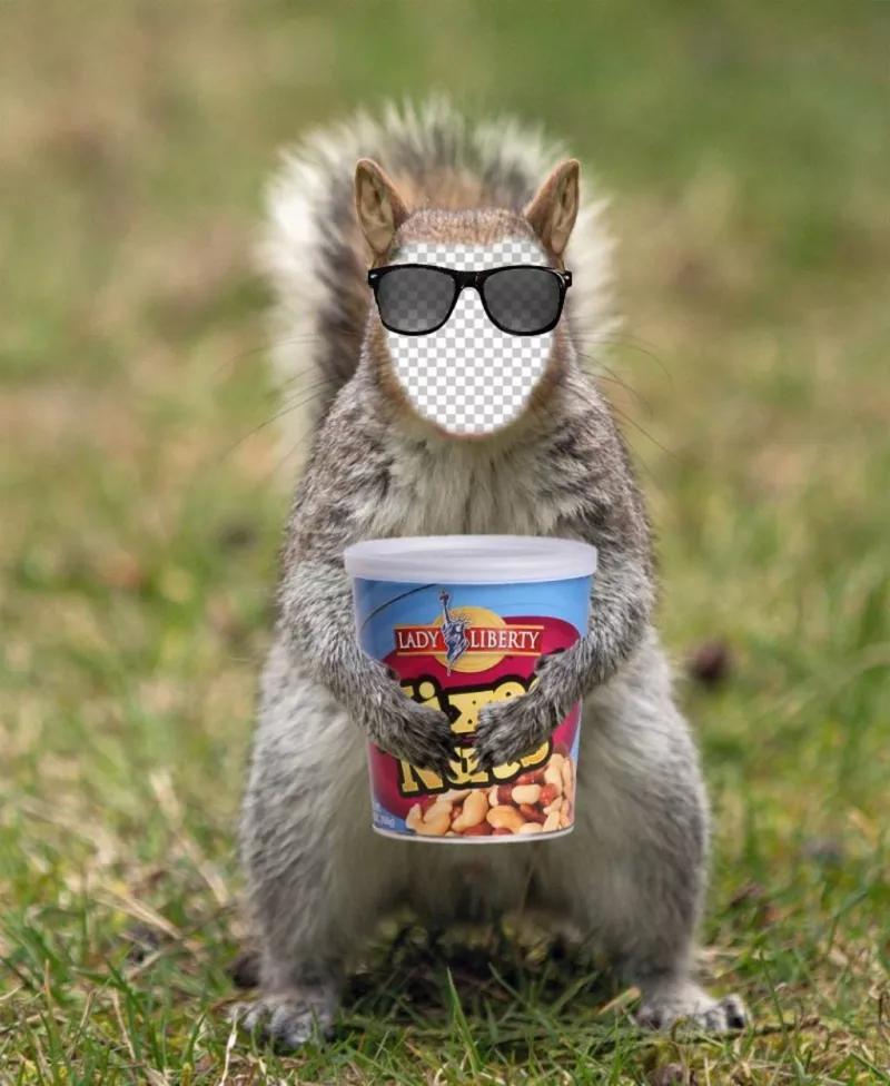 Put your face in a squirrel with a hipster sunglasses and a can of peanuts. ..