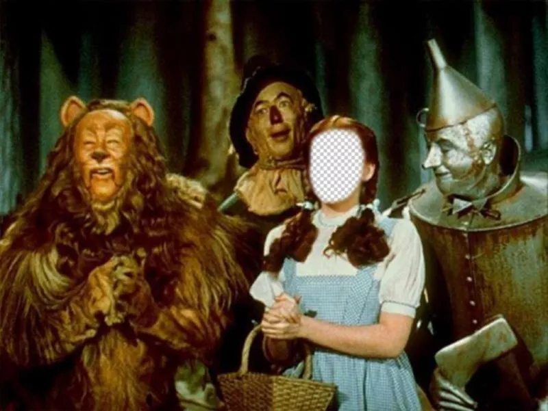 Become in Dorothy, the Wizard of Oz Protagonist ..