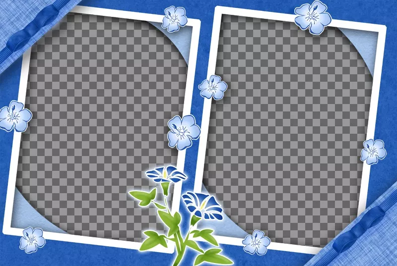 Frame for two photos with lilac flowers and background of the same..