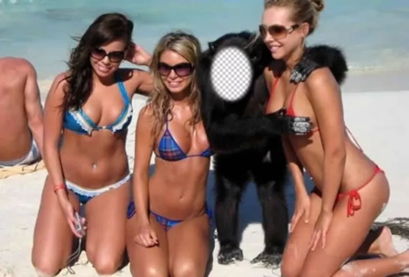 Create this photomontage to be a monkey with three girls in swimsuit ..