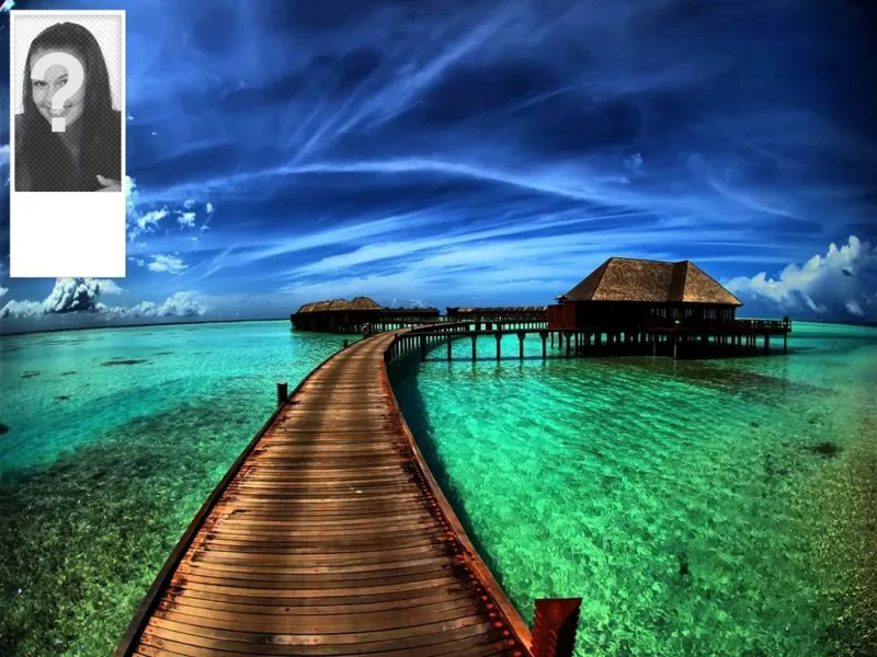 Twitter background to put your photo of Caribbean beach..