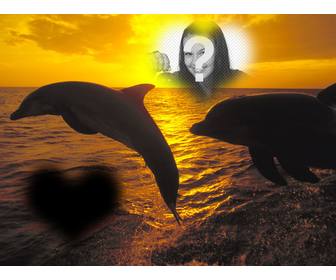 collage for two photos heart-shaped and dolphins jumping