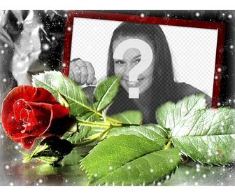 postcard for love with rose in which u can put ur photo