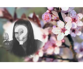 photomontage on blurred background with cherry blossoms and rounded semitransparent photoframe  to place ur photo