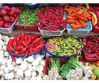 play with ur children to find the photo between the vegetable and educate them having fun learning to eat correctly