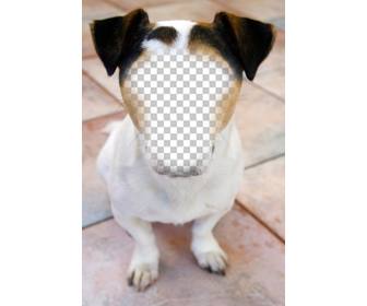 photomontage of dog where you can place your face and for free