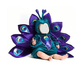 photomontage of baby dressed as peacock to personalize with photo