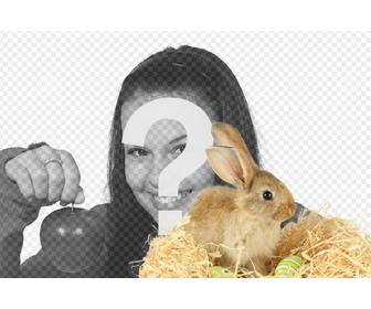 photomontage with rabbit and easter eggs to add to ur photos online and free