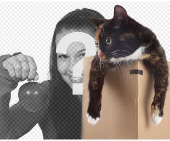 photomontage to put kitty in box in one of ur pictures