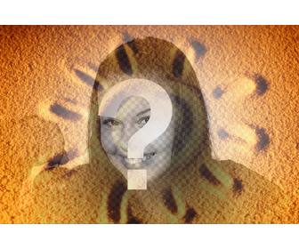 photomontage to overlay photo of sand with summer sun on the photo u want and add some text