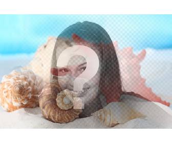 photomontage to make collage with sea shells and conch shells in the sand on the beach on photo of u