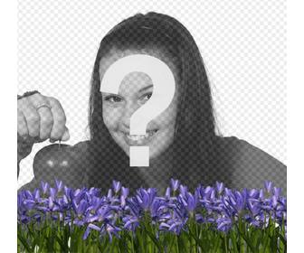 create an avatar for twitter or facebook with lilac flowers on ur profile picture online and free