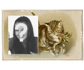 christmas card with vintage brown cat drawn with holly in the mouth and box in which to place photograph