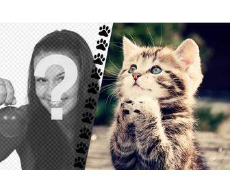 create collage with funny kitten asking something and picture of u on the left with strip of little paws drawn