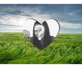 love photoframe to put romantic picture heart shaped on landscape with green wheat field and blue sky