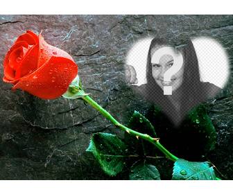 put photo inside heart with rose next with this love photo effect that u can send as postcard