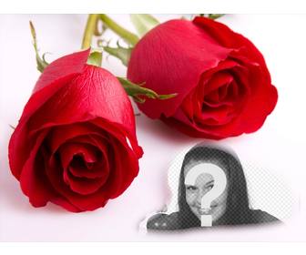 postcard of love with two roses and photo frame in which to put picture