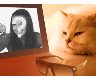 photomontage of bored cat seeing ur photo in which u put the image u want