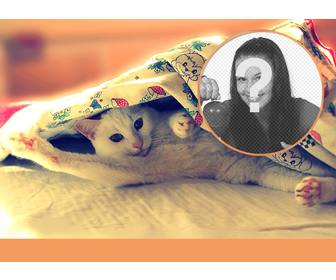 collage with cat stretching out on bed giving good morning with the legs