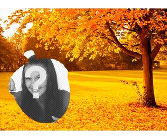 golden autumn trees and an acorn shaped photo frame