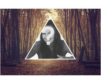 background collage of triangular hipster shape on background of trees