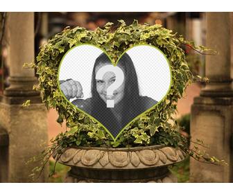 tree heart shaped ivy in stone fountain