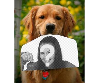photomontage with dog holding photograph with his nose in funny way
