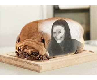 bread shaped dog with to put ur photographs over the skin
