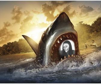photomontage to put ur picture between the jaws of great white shark