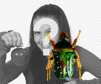 sticker with green beetle to put in ur photographs