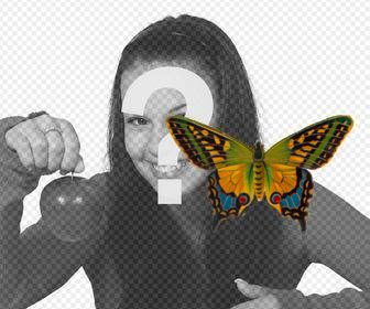 decorate ur photos with this colorful butterfly