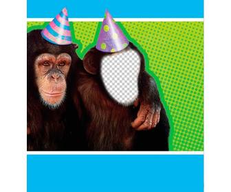 photomontage with monkey dressed with party hat