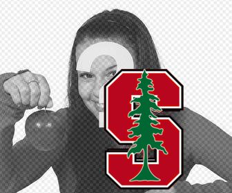 logo sticker of the stanford university to insert into ur photos in online form