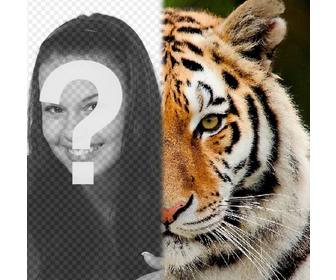 photomontage to have half of your face like tiger