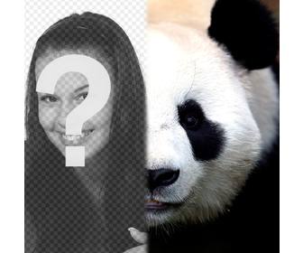 transform ur half face in panda with this photomontage