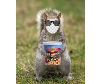 put ur face in squirrel with hipster sunglasses and can of peanuts