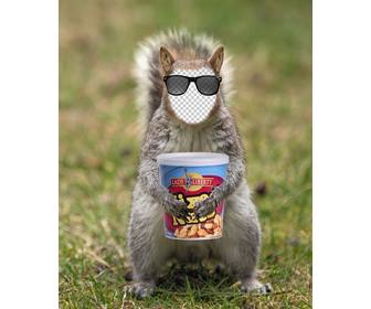 put your face in squirrel with hipster sunglasses and can of peanuts